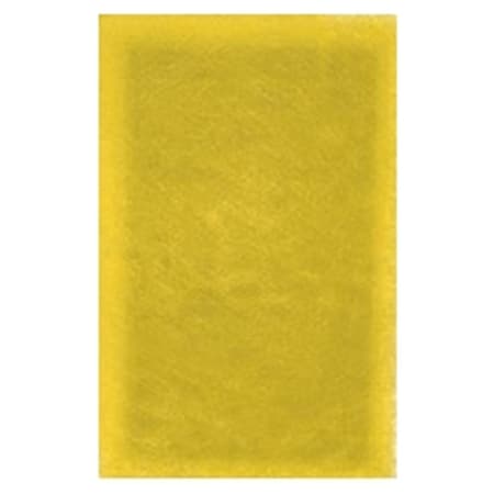 Natures-Home Natures-Home DMG16X25X1-DNH Micro Power Guard Filter; Pack Of 3 DMG16X25X1=DNH